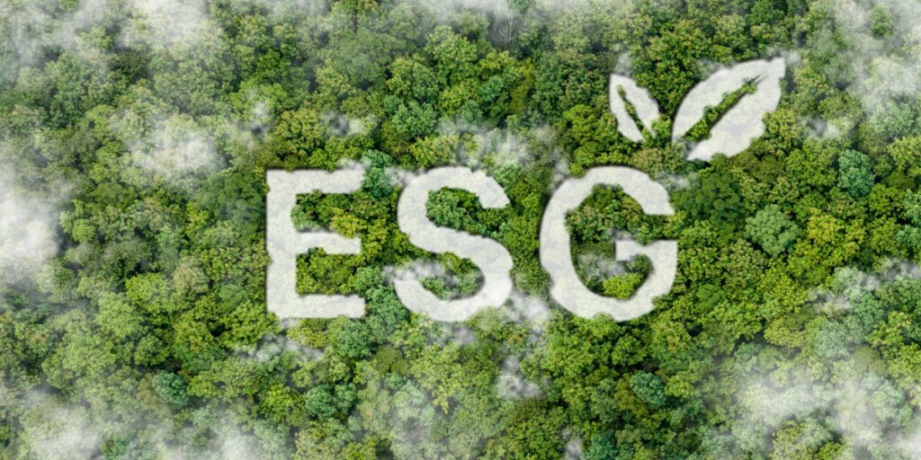 ESG CSO